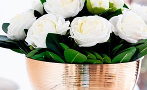 banner post plantas permanentes