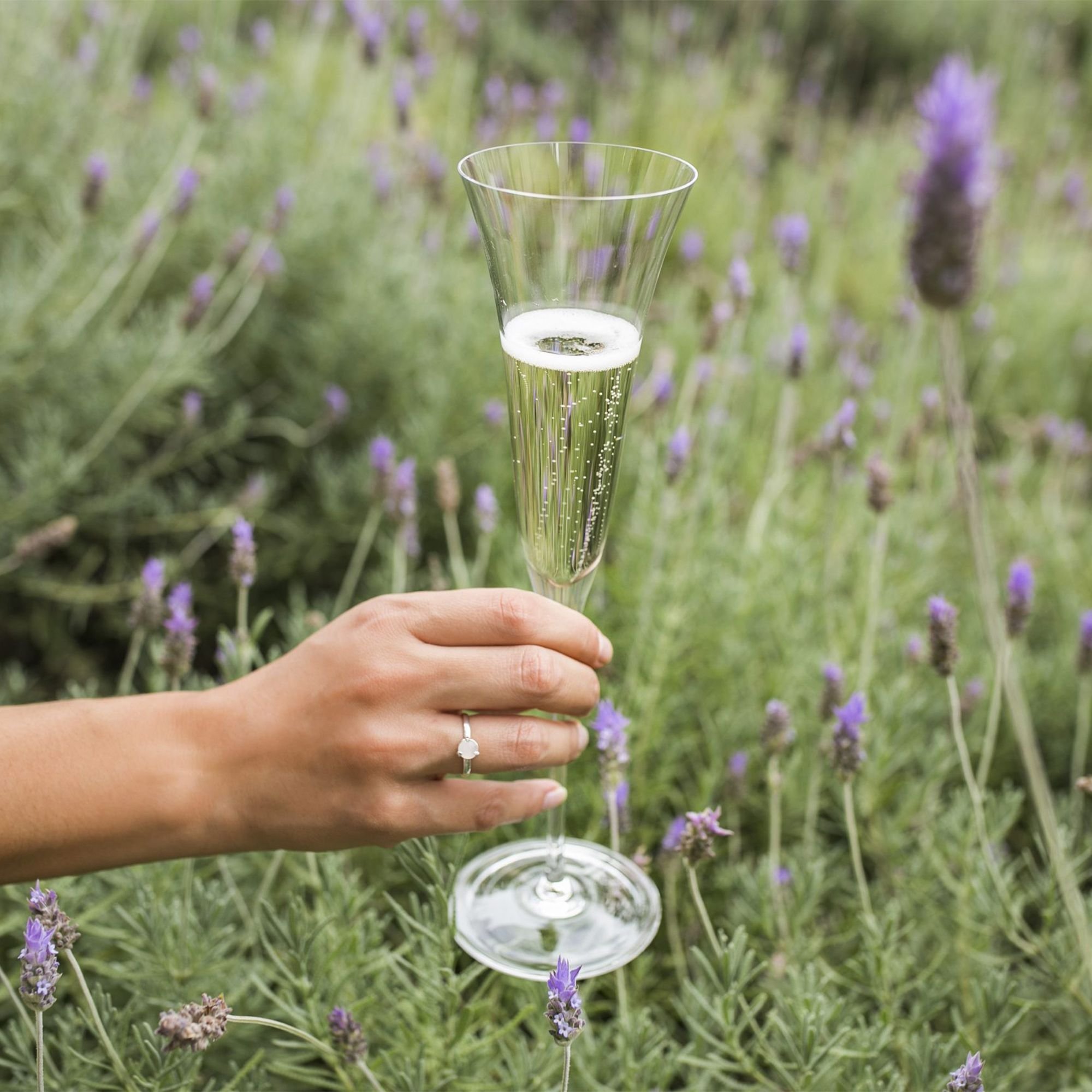 231118 straus 10 scaled 2000x2000