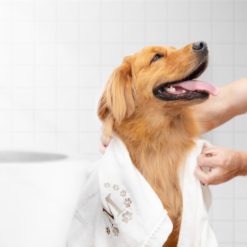 toalha pet sottile branca monograma fendi ambientada sottile casa