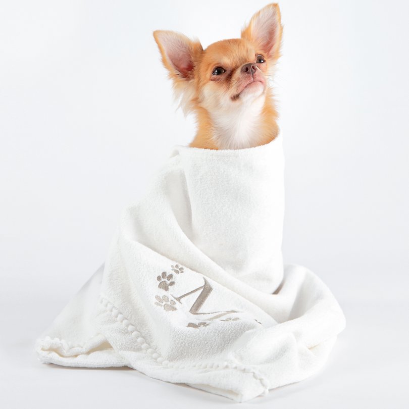 toalha_pet_sottile_branca monograma_fendi_racas_pequenas_ambientada_sottile_casa_3