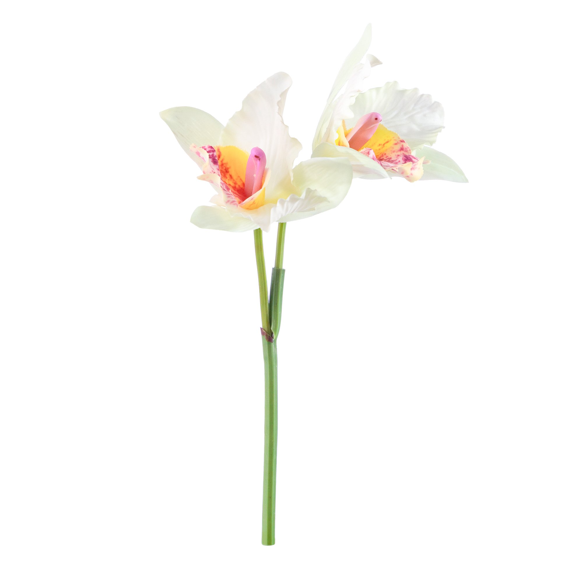 Haste_Orquidea_Cattleya_Branco_Still2_Sottile_Casa_1