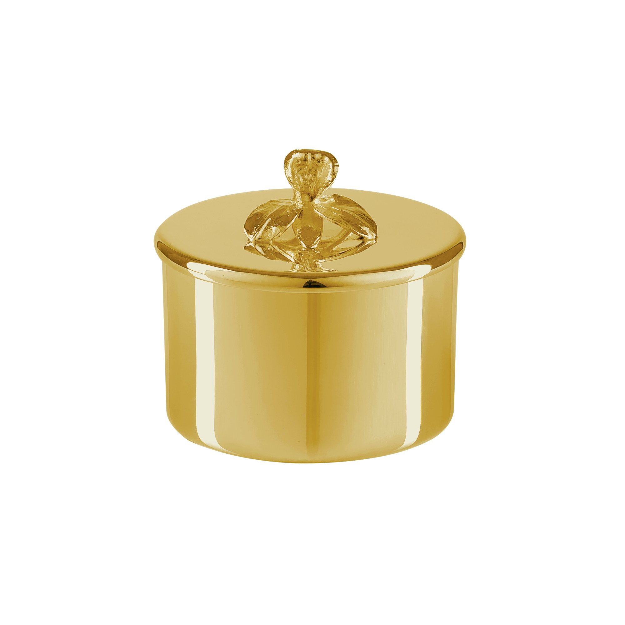 porta algodao dourado orquidea still sottile casa