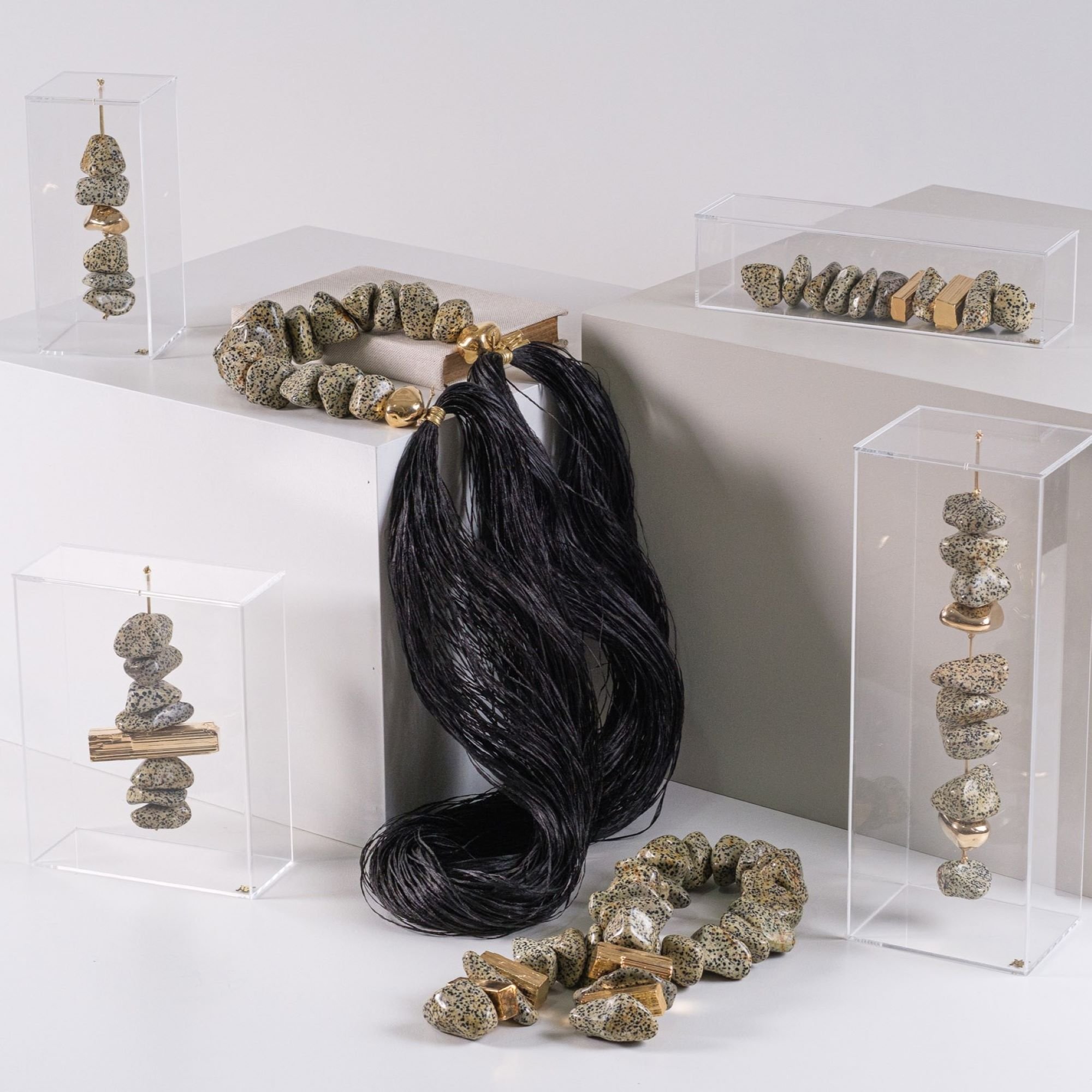 jaspe dalmata ambientada sottile casa