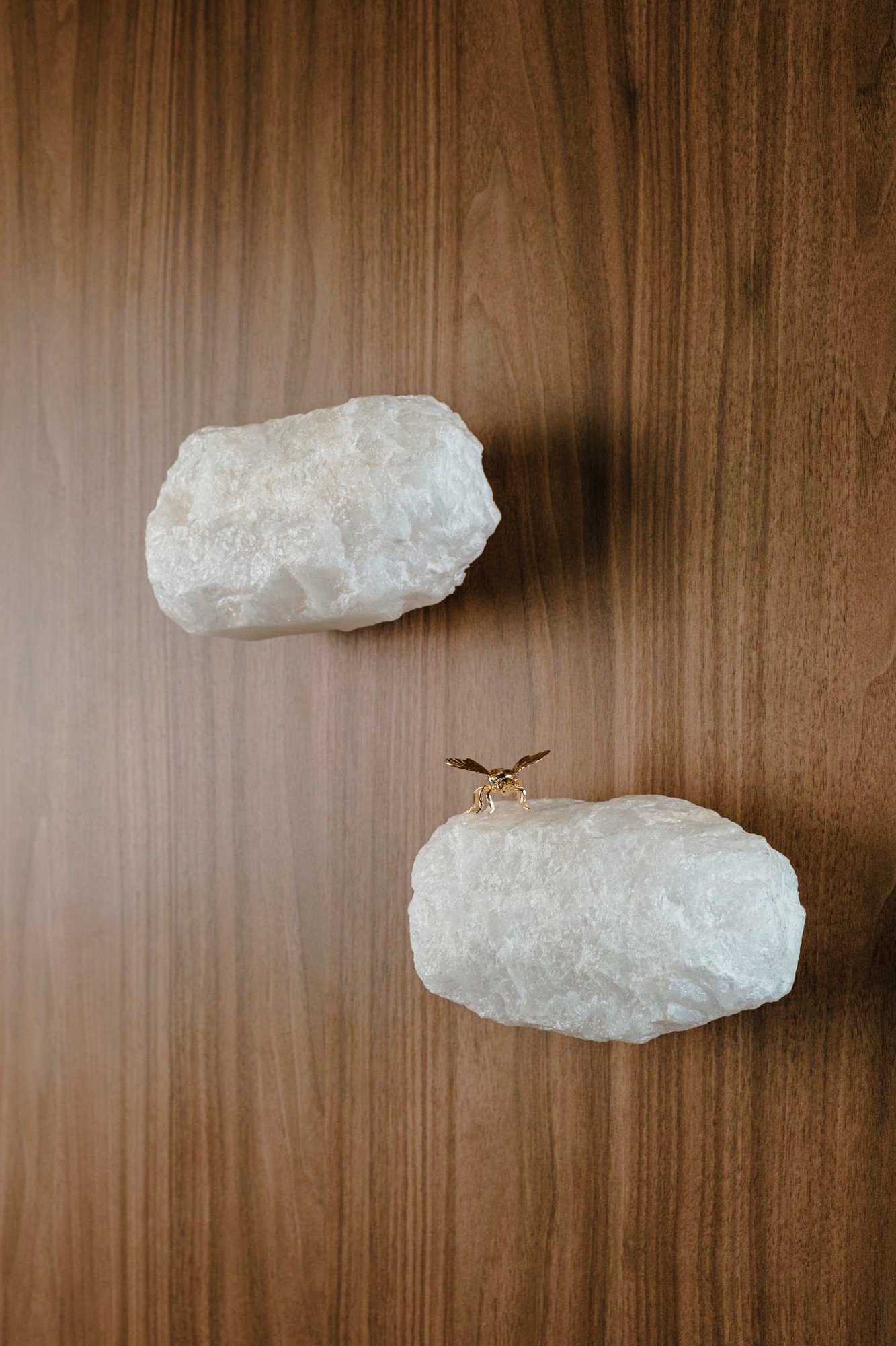 Angela Maria Colecao   9e1012025   Foto PaulinhoSeftoncom 432 3jpg