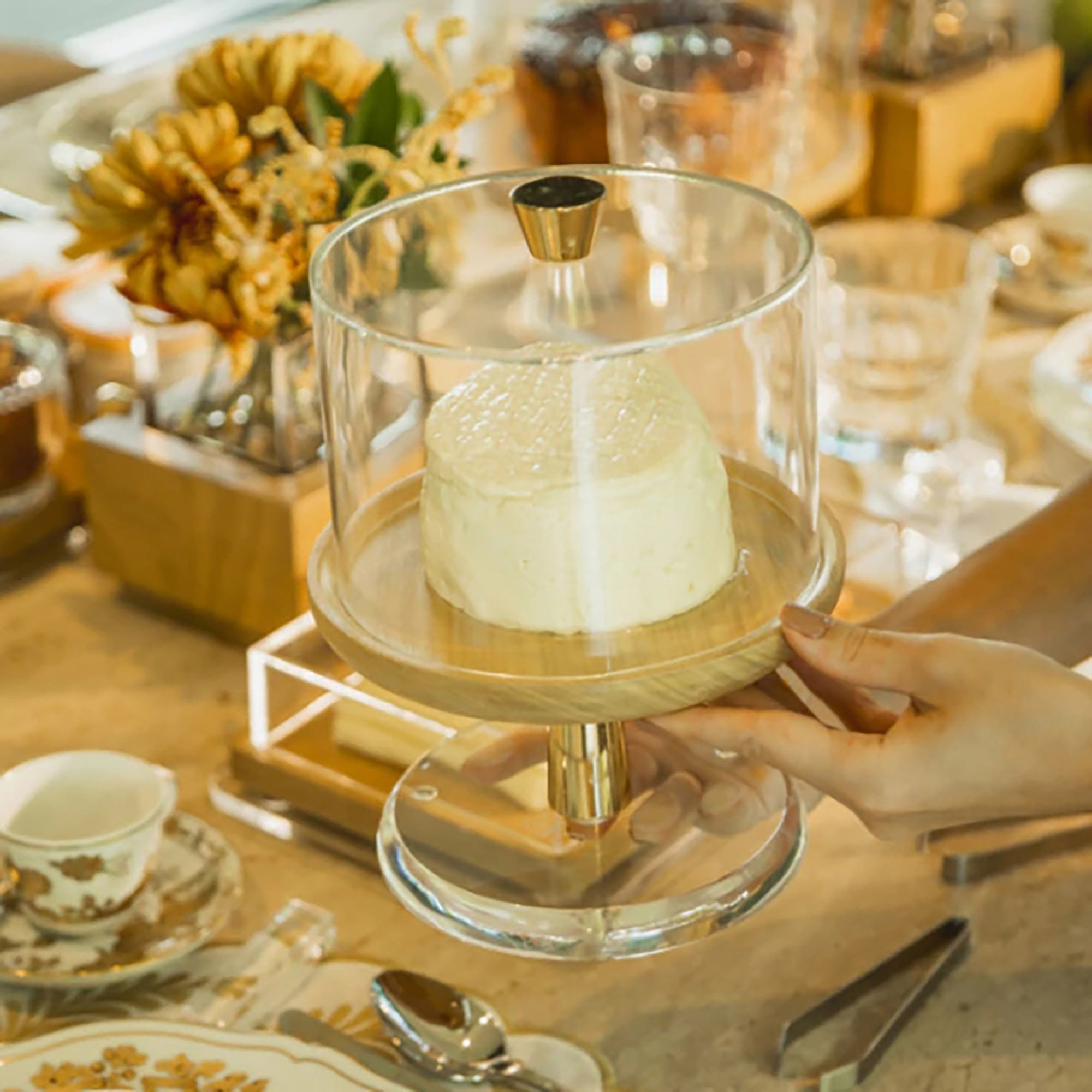 queijeira c tampa alenya madeira tauari ambientada